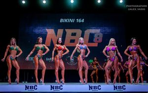 BIKINI 164